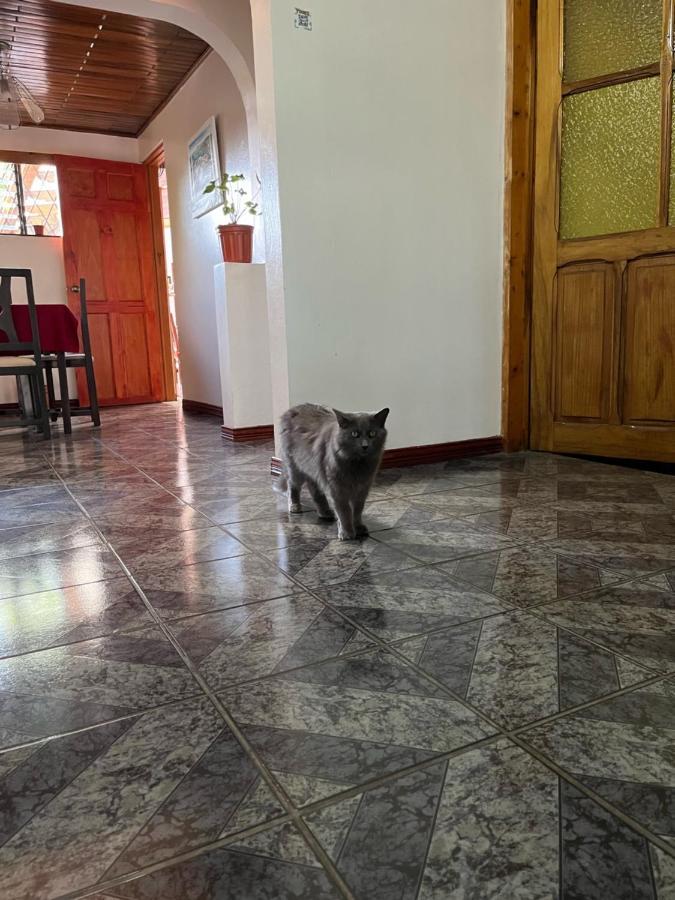 El Mochilero Apartment Cartago Luaran gambar